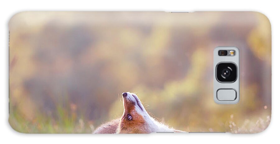 Predator Galaxy Case featuring the photograph Just Happy - Happy Fox is Happy by Roeselien Raimond