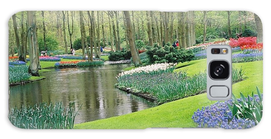  Galaxy Case featuring the photograph Keukenhof Gardens by Susie Rieple