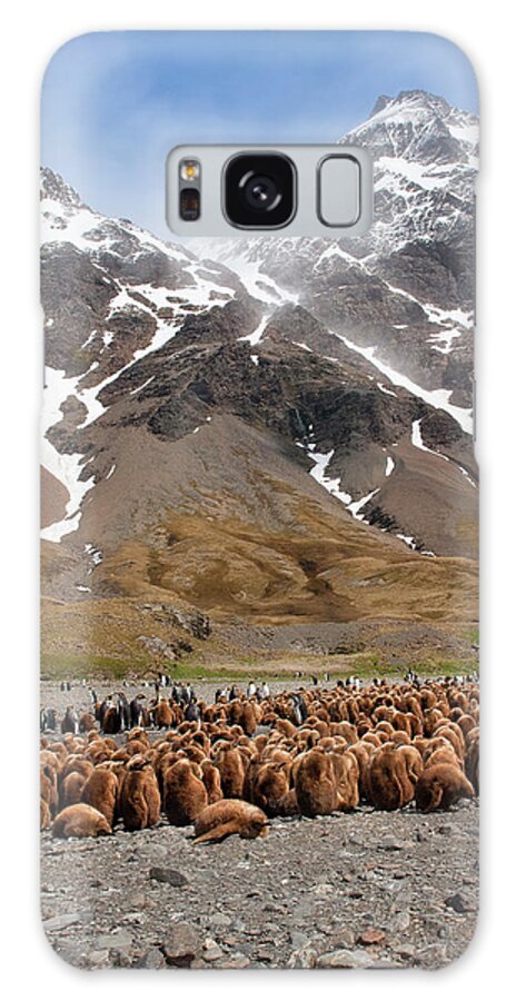 Scenics Galaxy Case featuring the photograph King Penguins Aptenodytes Patagonicus by Gabrielle Therin-weise