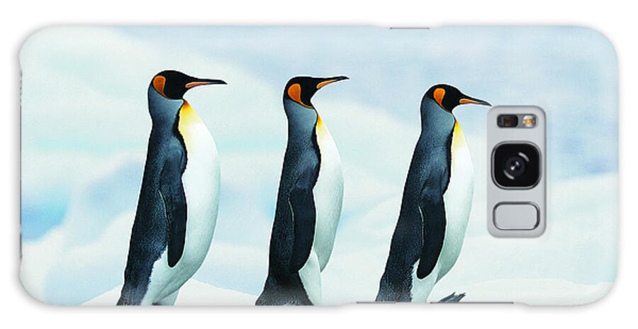 Following Galaxy Case featuring the photograph King Penguins Walking In Single File by Joel Simon