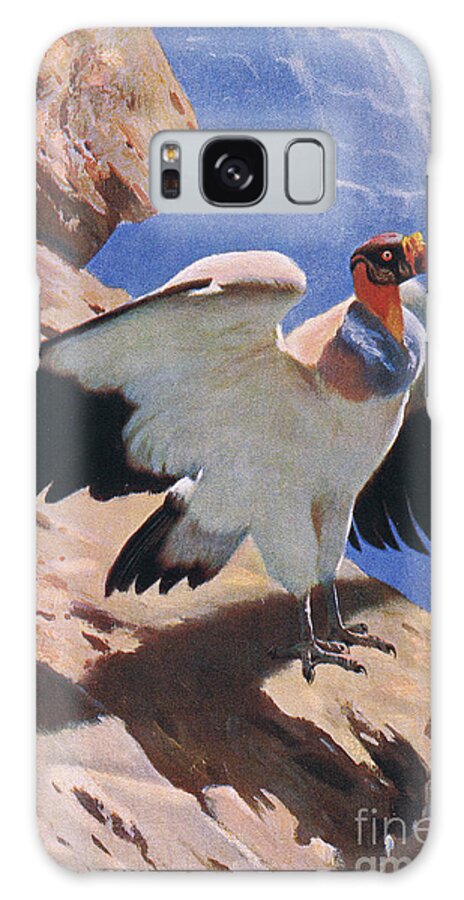 King Vulture Galaxy Case featuring the painting King Vulture By Kuhnert by Wilhelm Kuhnert