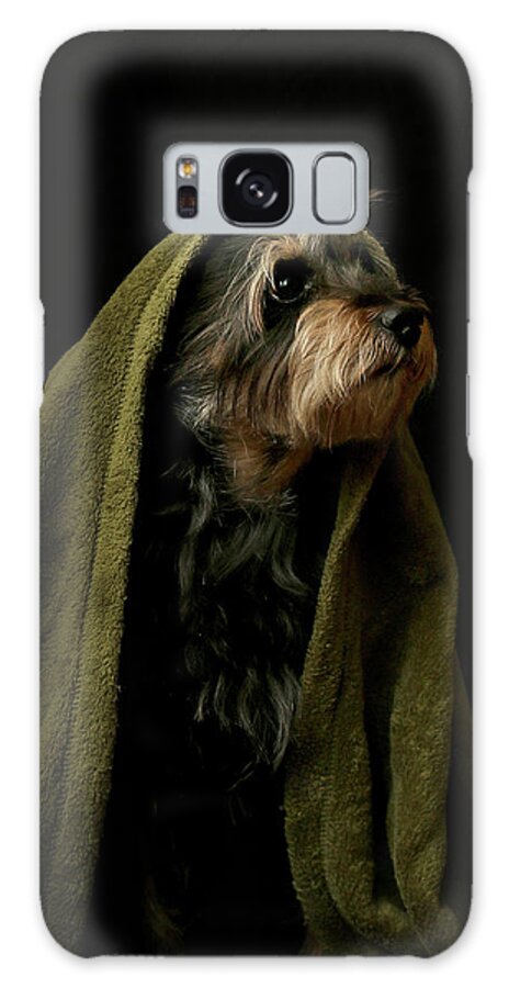 Dog Galaxy Case featuring the photograph Koby Wrapped in a Blanket by Mariah Mobley