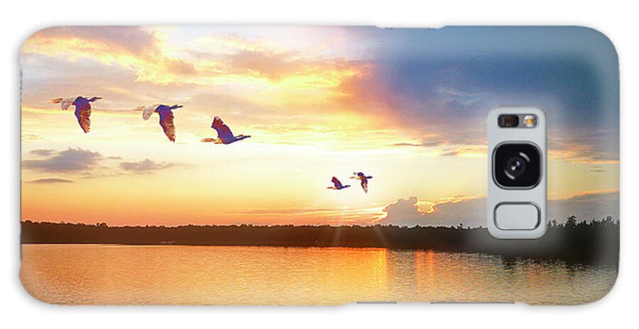 Pennsylvania Galaxy Case featuring the photograph Lake Sunset, Cormorants in Flight by A Macarthur Gurmankin