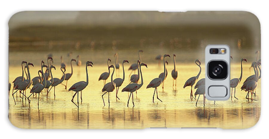 Tranquility Galaxy Case featuring the photograph Large Group Of Flamingos, Oristano by David Fettes