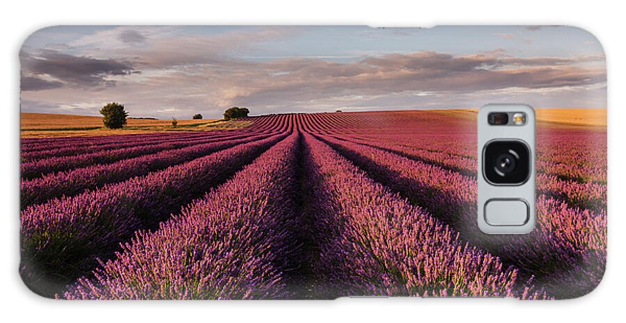 Scenics Galaxy Case featuring the photograph Lavender Field by Paul Baggaley