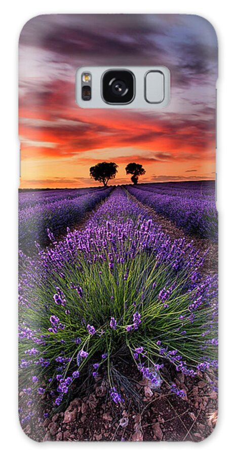 Landscape Galaxy Case featuring the photograph Lavender spirits by Jorge Maia