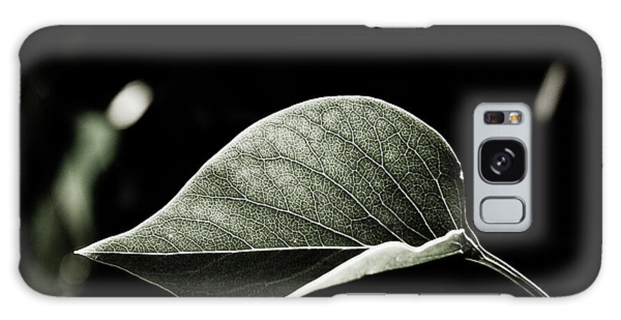 Mid-air Galaxy Case featuring the photograph Leaf by Enjoy It!