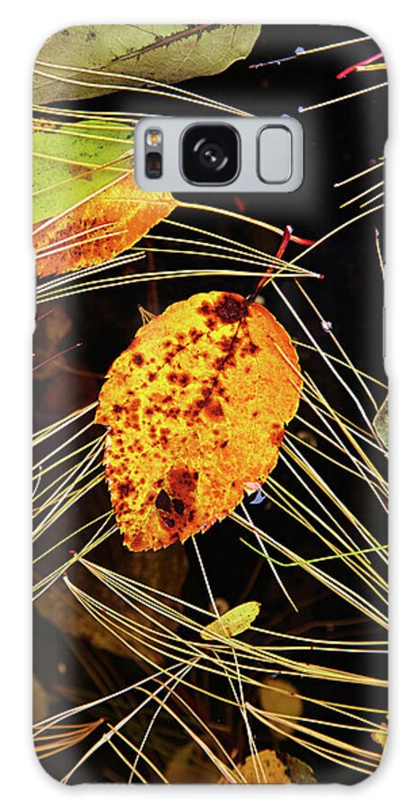Garden Galaxy S8 Case featuring the photograph Leaf in pond by Garden Gate magazine