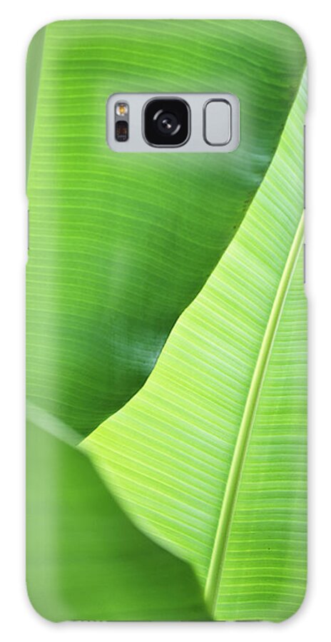 Outdoors Galaxy Case featuring the photograph Leaves Of Banana Plant by Elisabeth Schmitt