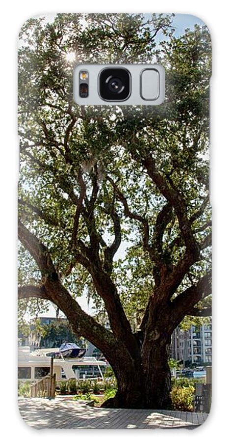 Liberty Oak Galaxy Case featuring the photograph Liberty Oak at Harbour Town by Dennis Schmidt
