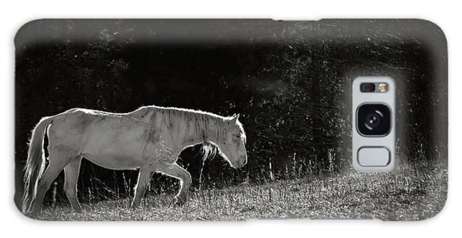 Horse Galaxy Case featuring the photograph Life is an Uphill Battle by Holly Ross