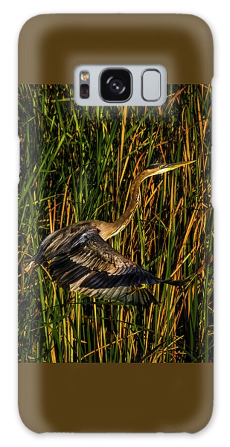 Birds Galaxy Case featuring the photograph Lift by Ray Silva