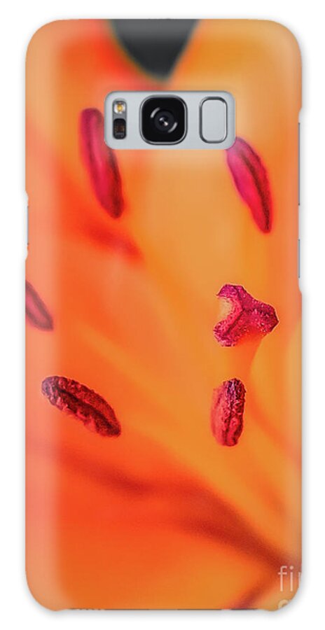 Lily Galaxy Case featuring the photograph Lily Stamen and Pistil by Melissa Lipton