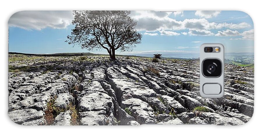 Limestone Galaxy Case featuring the photograph Limestone Pavement And Tree by Martin Bond/science Photo Library