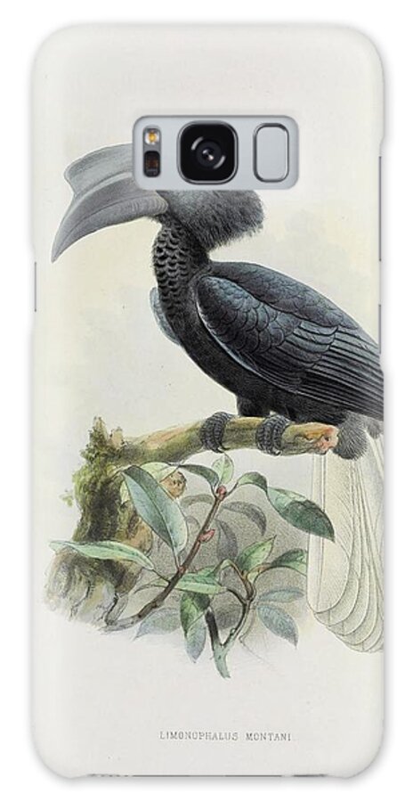 Hornbill Galaxy Case featuring the painting Limonophalus Montani by Daniel Giraud Elliot
