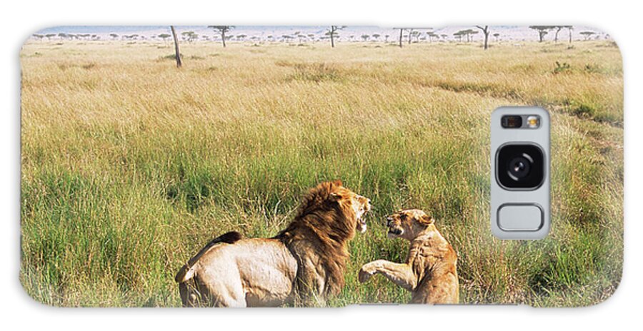 Scenics Galaxy Case featuring the photograph Lion And Lioness Quarrelling by James Warwick