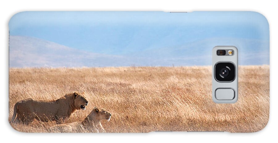 Scenics Galaxy Case featuring the photograph Lion Couple In Ngorongoro Crater by Ceneri