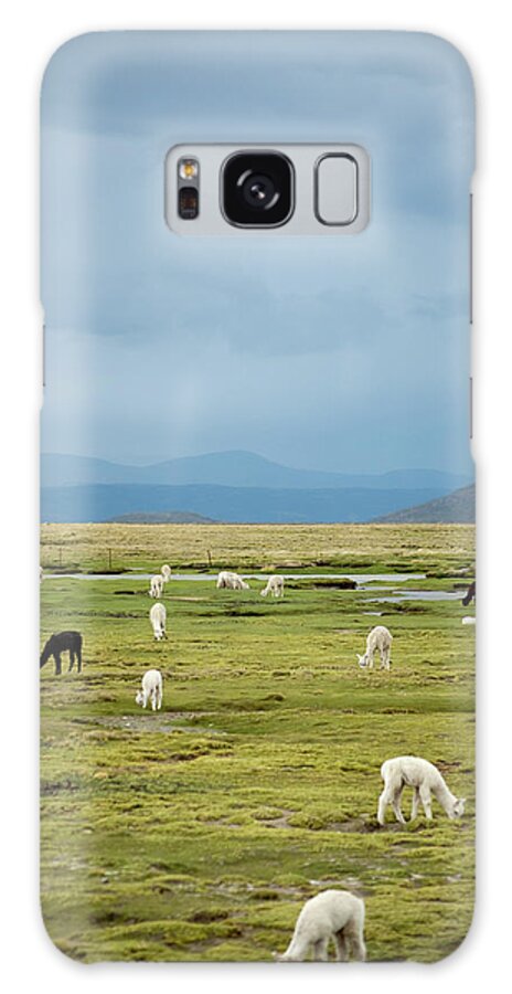Grass Galaxy Case featuring the photograph Llamas Grazing With Andes Mountains In by Pearl Vas