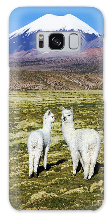 Bolivia Galaxy Case featuring the photograph Llamas In Front Of The Volcano Sajama by Jami Tarris