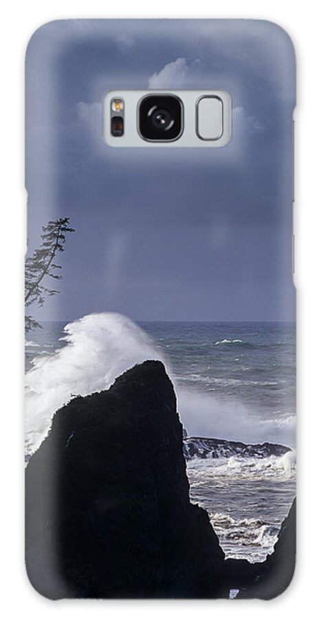 Cape Arago Galaxy Case featuring the photograph Lone Tree by Robert Potts