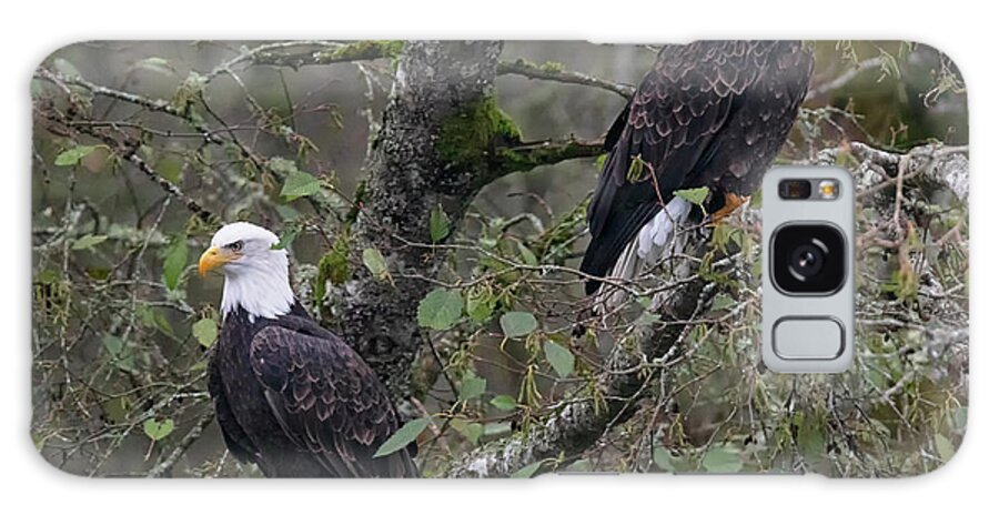 Bald Eagles Galaxy Case featuring the photograph Look Over There by Randy Hall