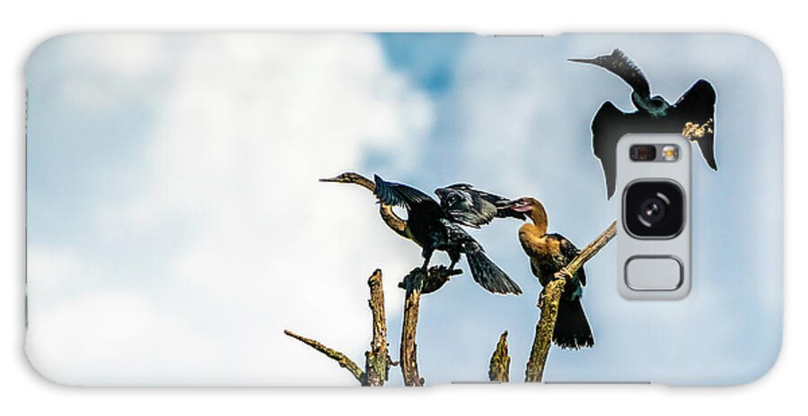 Wildlife Galaxy Case featuring the photograph Looking Into The Wind by Marvin Spates