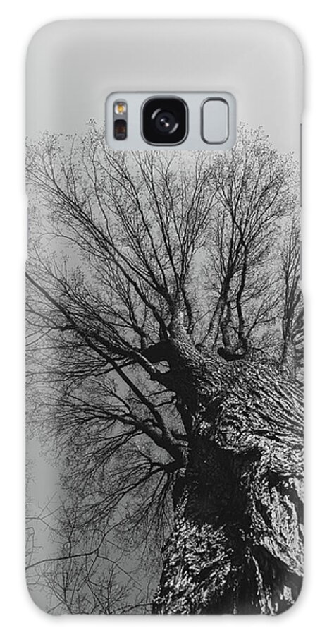 Black & White Galaxy Case featuring the photograph Looking Up Through The Trees by Liz Albro