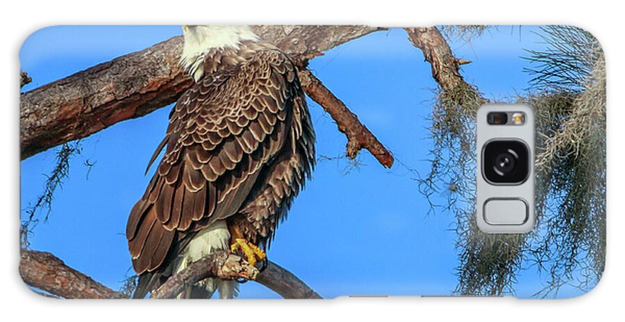 Eagle Galaxy Case featuring the photograph Lookout Eagle by Tom Claud