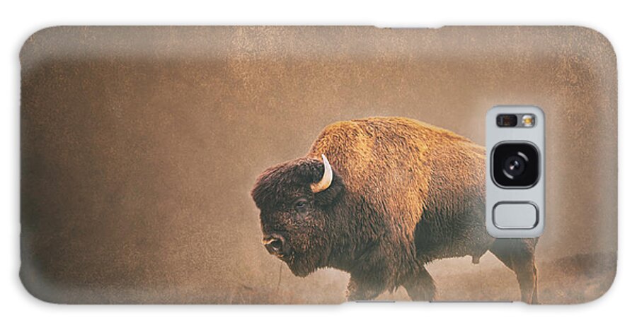 Bison Galaxy Case featuring the photograph Lord Buffalo by Ron McGinnis