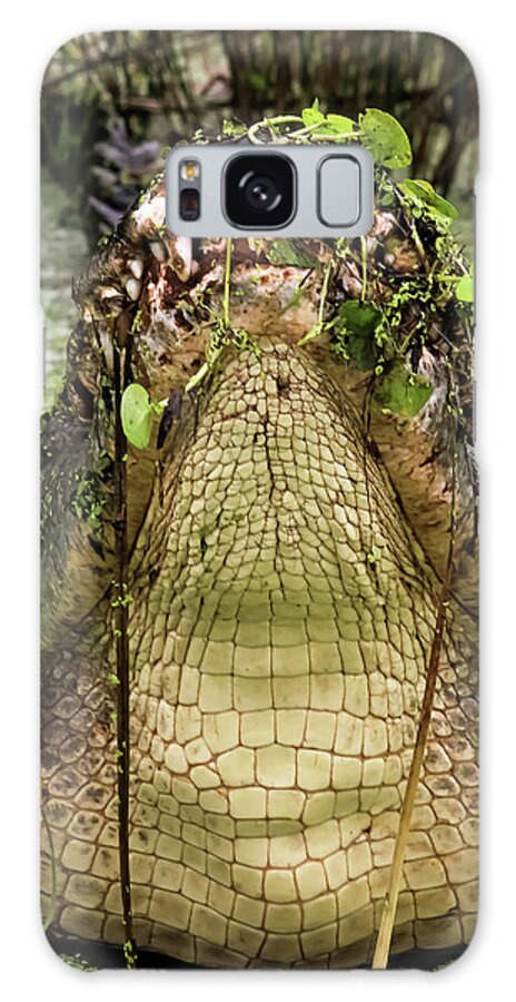 Admiralelk Galaxy Case featuring the photograph Lord of the Swamp by Michael Allard