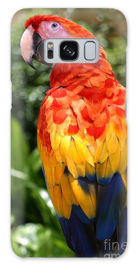 Feather Galaxy Case featuring the photograph Macaw Sitting On A Branch by Paul Banton