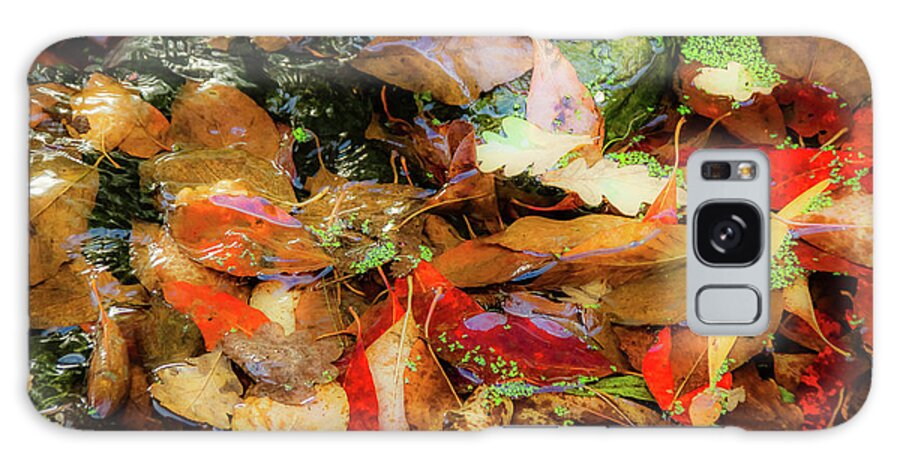 Tree Galaxy Case featuring the photograph Magic of Autumn - 2 by Christopher Maxum