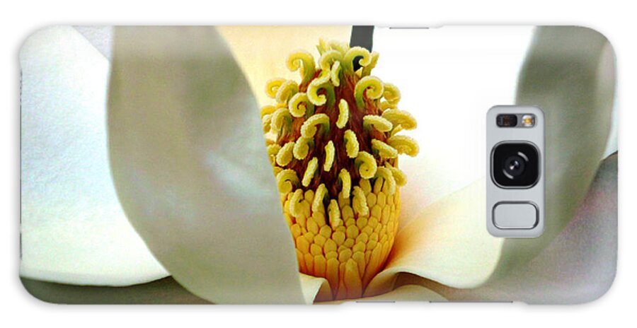 Magnolia Bloom Galaxy Case featuring the photograph Magnolia Bloom Macro by Mike McBrayer