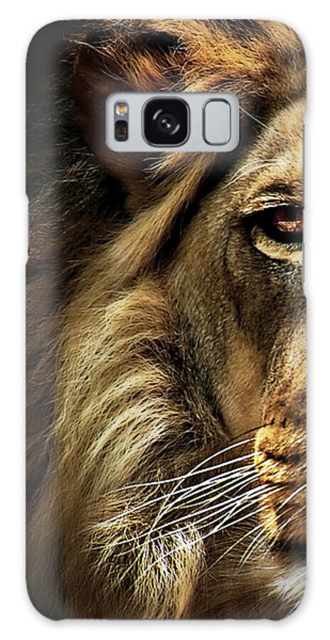Majestic Dominance Galaxy Case featuring the photograph Majestic Dominance by Sd Smart