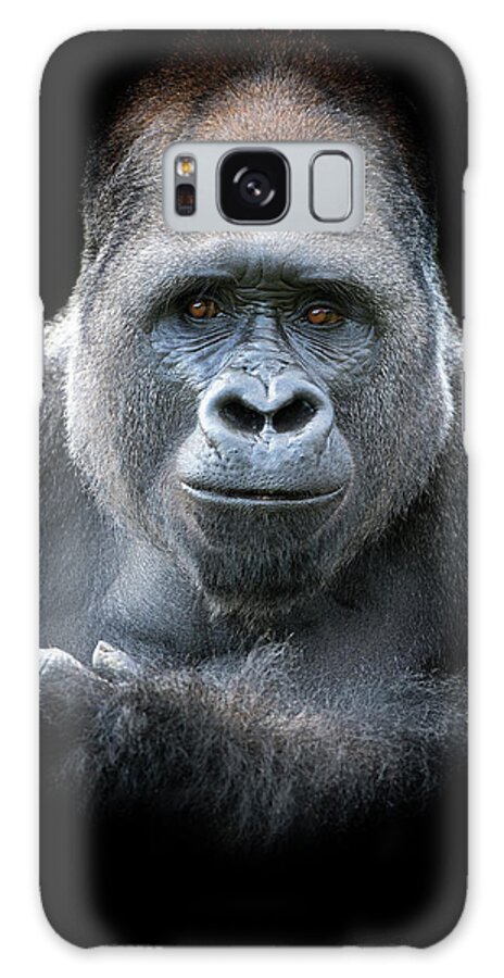 Animal Themes Galaxy Case featuring the photograph Male Western Lowland Gorilla by Mike Hill