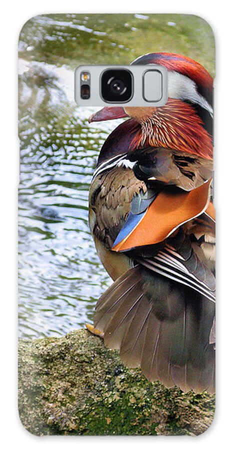 Animal Themes Galaxy Case featuring the photograph Mandarin Duck by Digitaler Lumpensammler