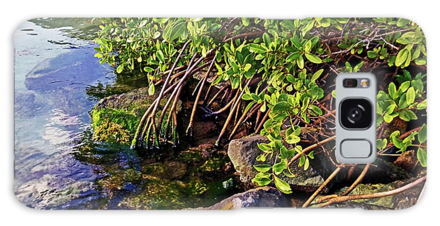 Mangrove Galaxy Case featuring the photograph Mangrove Bath by Climate Change VI - Sales