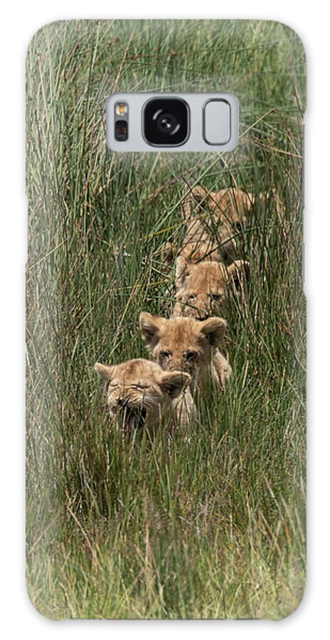 Africa Galaxy Case featuring the photograph Follow the Leader by Patrick Nowotny