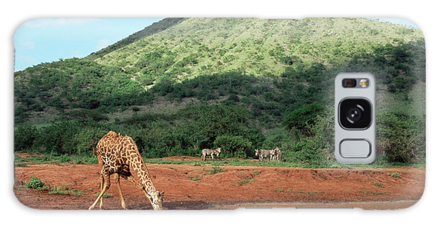 Shadow Galaxy Case featuring the photograph Masai Giraffe Drinking At Waterhole by James Warwick