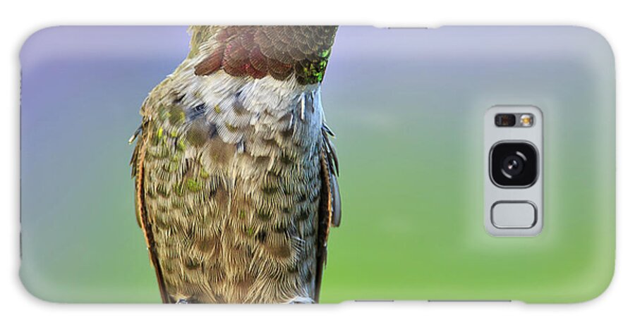 Animal Galaxy Case featuring the photograph Midsummer Night's Dream IV - Male Anna's Hummingbird by Briand Sanderson