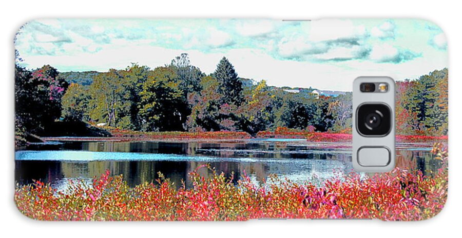 Ashland Galaxy Case featuring the digital art Mill Pond in September by Cliff Wilson