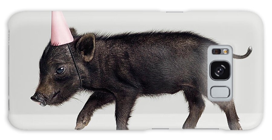 Pets Galaxy Case featuring the photograph Miniature Piglet Wearing Party Hat by Roger Wright