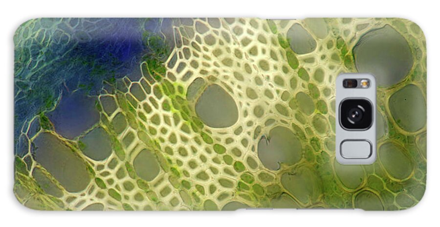 Anatomy Galaxy Case featuring the photograph Mint Stalk by Marek Mis/science Photo Library