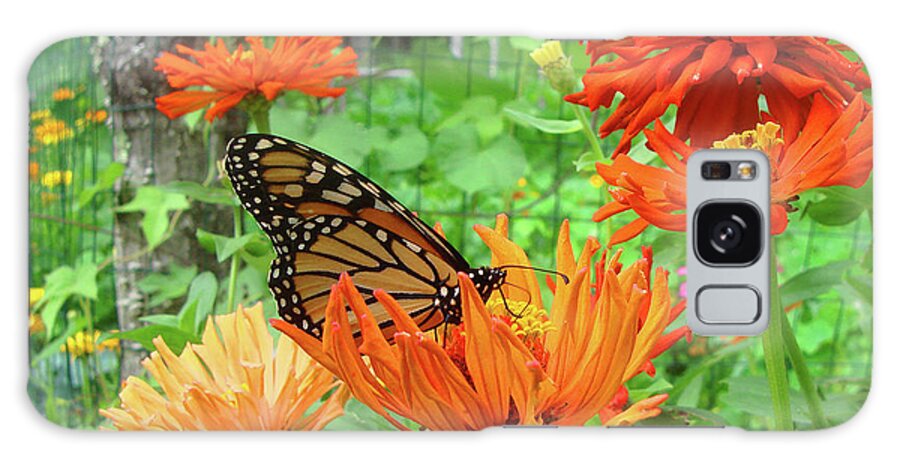 Monarch Galaxy Case featuring the photograph Monarch and Zinnia 3 by Amy E Fraser