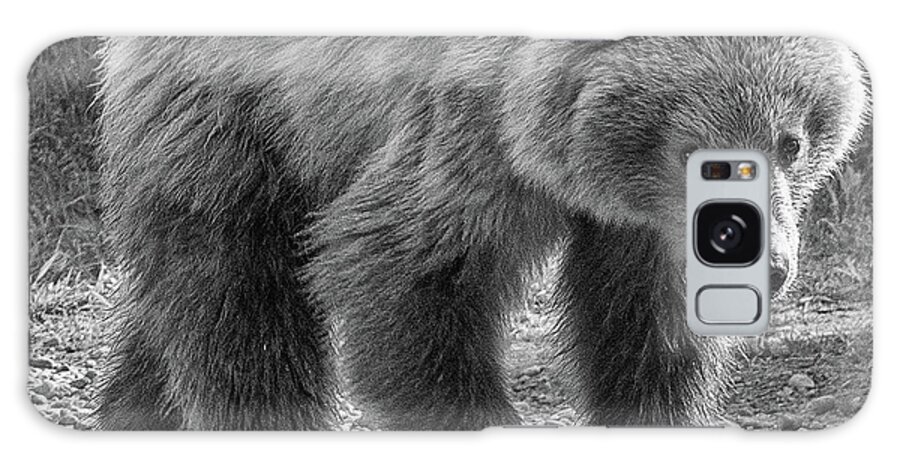 Bear Galaxy S8 Case featuring the photograph Monochrome image of an Alaska Brown Bear walking by Mark Hunter