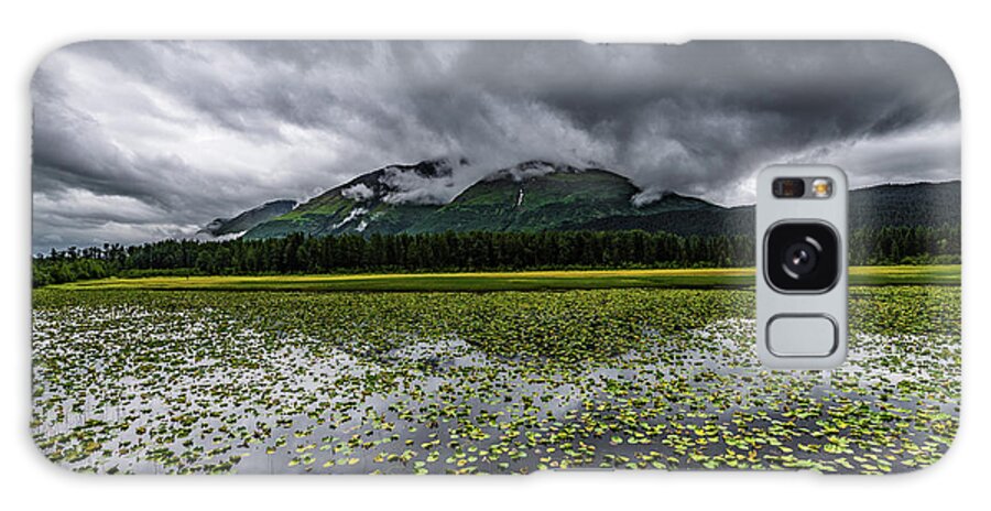 Alaska Galaxy Case featuring the photograph Moose Pond by David Downs