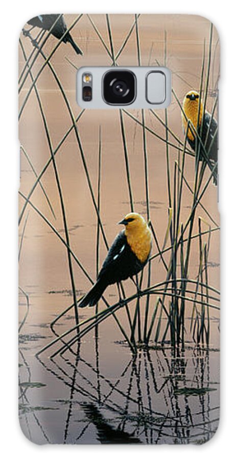 Yellow Headed Blackbirds Sitting In Marsh At Sunrise Galaxy Case featuring the painting Morning Call - Yellow Headed Blackbirds by Jeff Tift