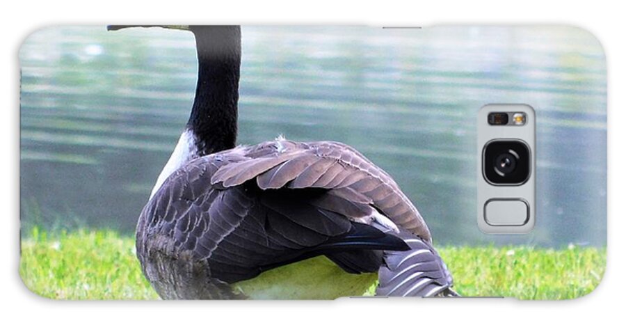 - Morning Yoga - Canada Goose Galaxy Case featuring the photograph - Morning Yoga - Canada Goose by THERESA Nye