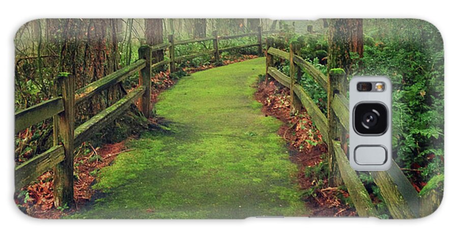 Scenics Galaxy Case featuring the photograph Mossy Path by Andipantz