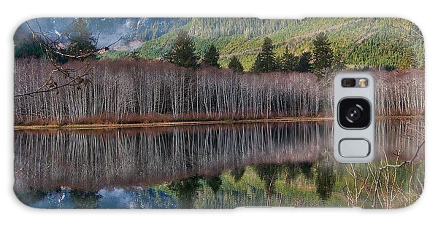 Vancouver Island Galaxy S8 Case featuring the photograph Mountain Lake Reflections by Farol Tomson